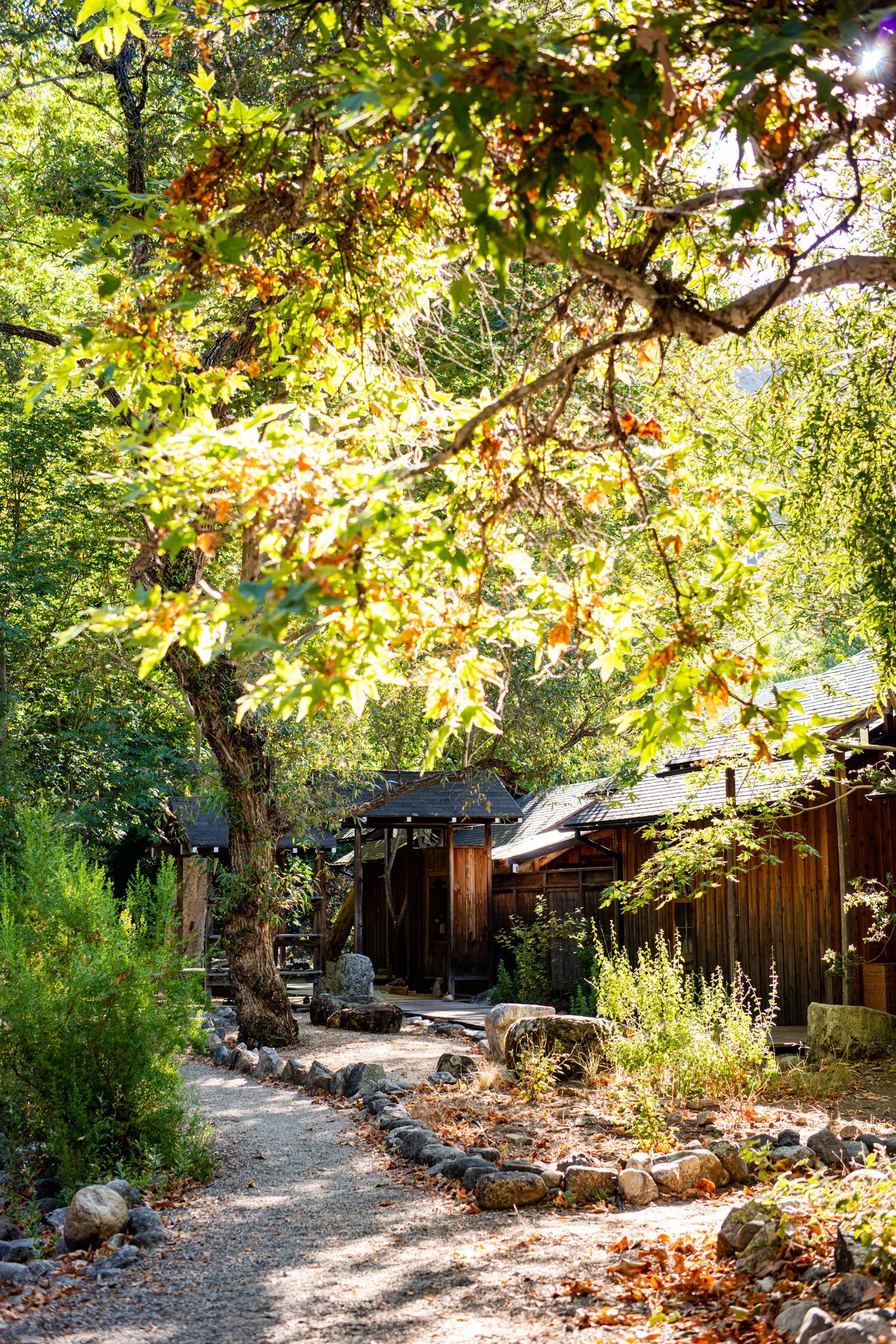 erinscottphotography_tassajara+zencenter+nature+photographer-16.jpg