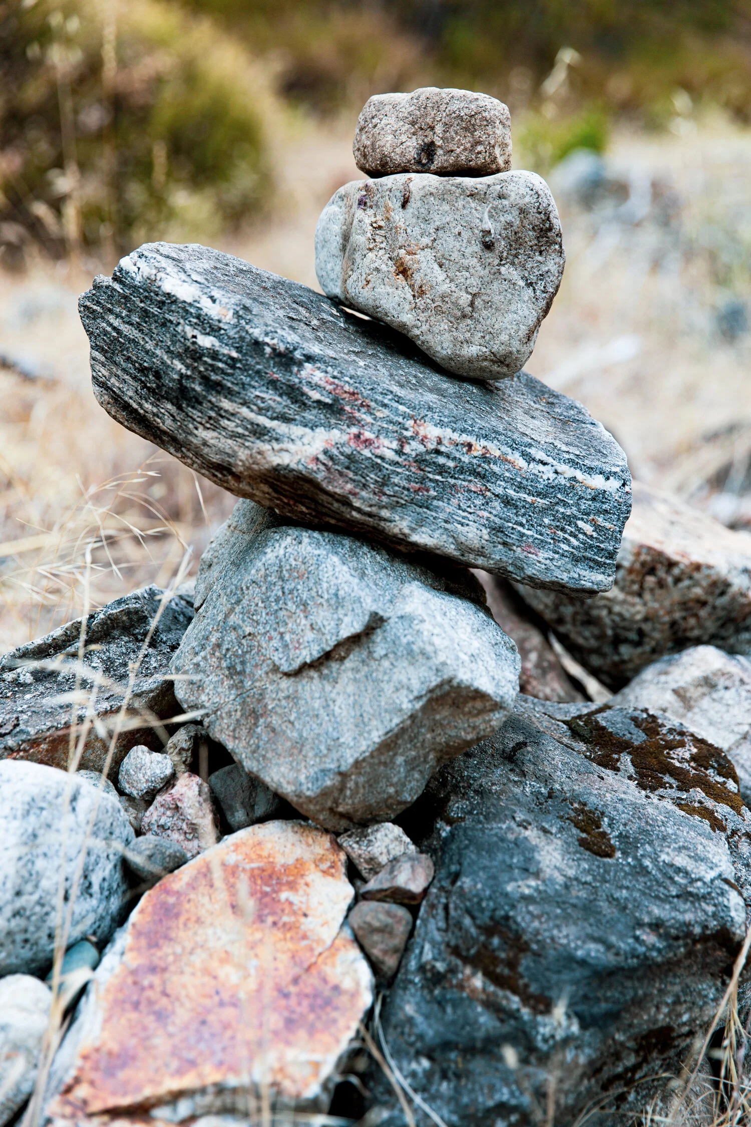 erinscottphotography_tassajara+zencenter+nature+photographer-2.jpg