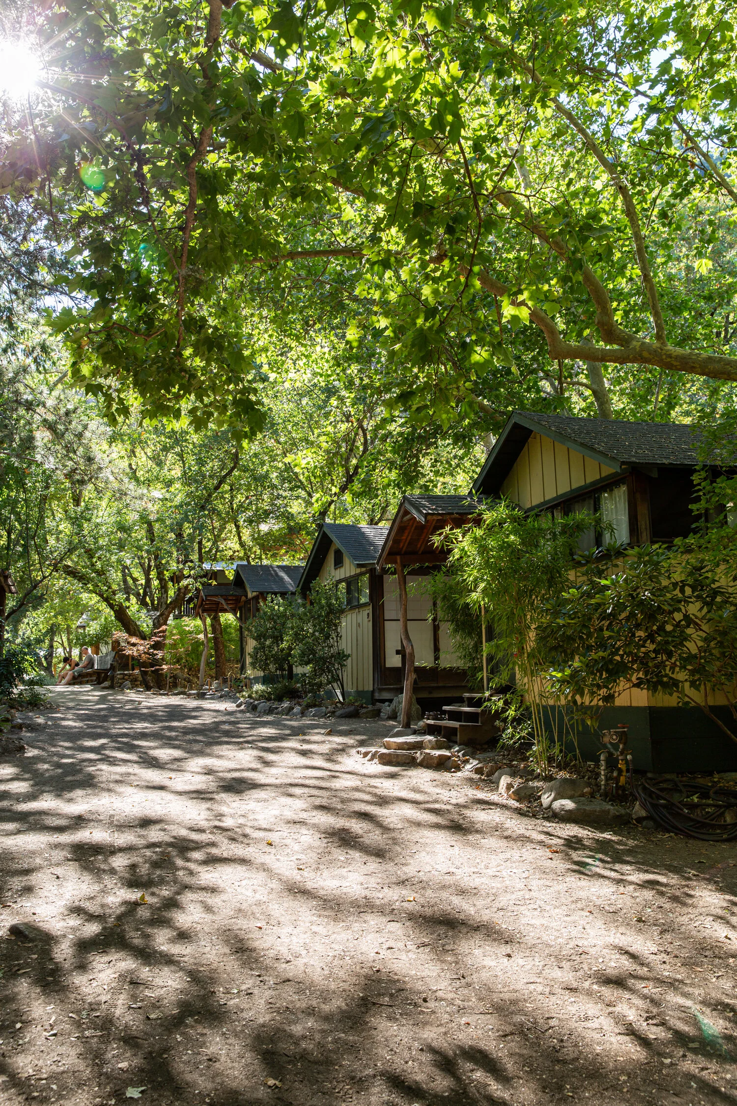 erinscottphotography_tassajara+zencenter+nature+photographer-4.jpg