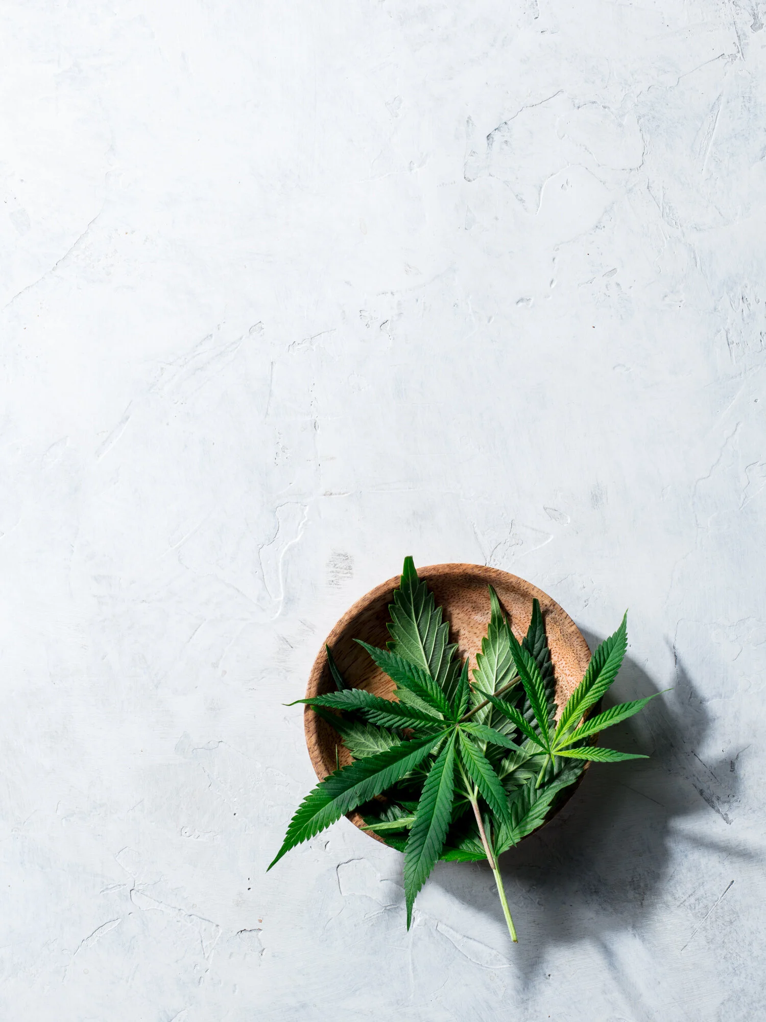 erin-scott-san-francisco-california-cannabis-photographer-ten-speed-press-editorial-9503.jpg