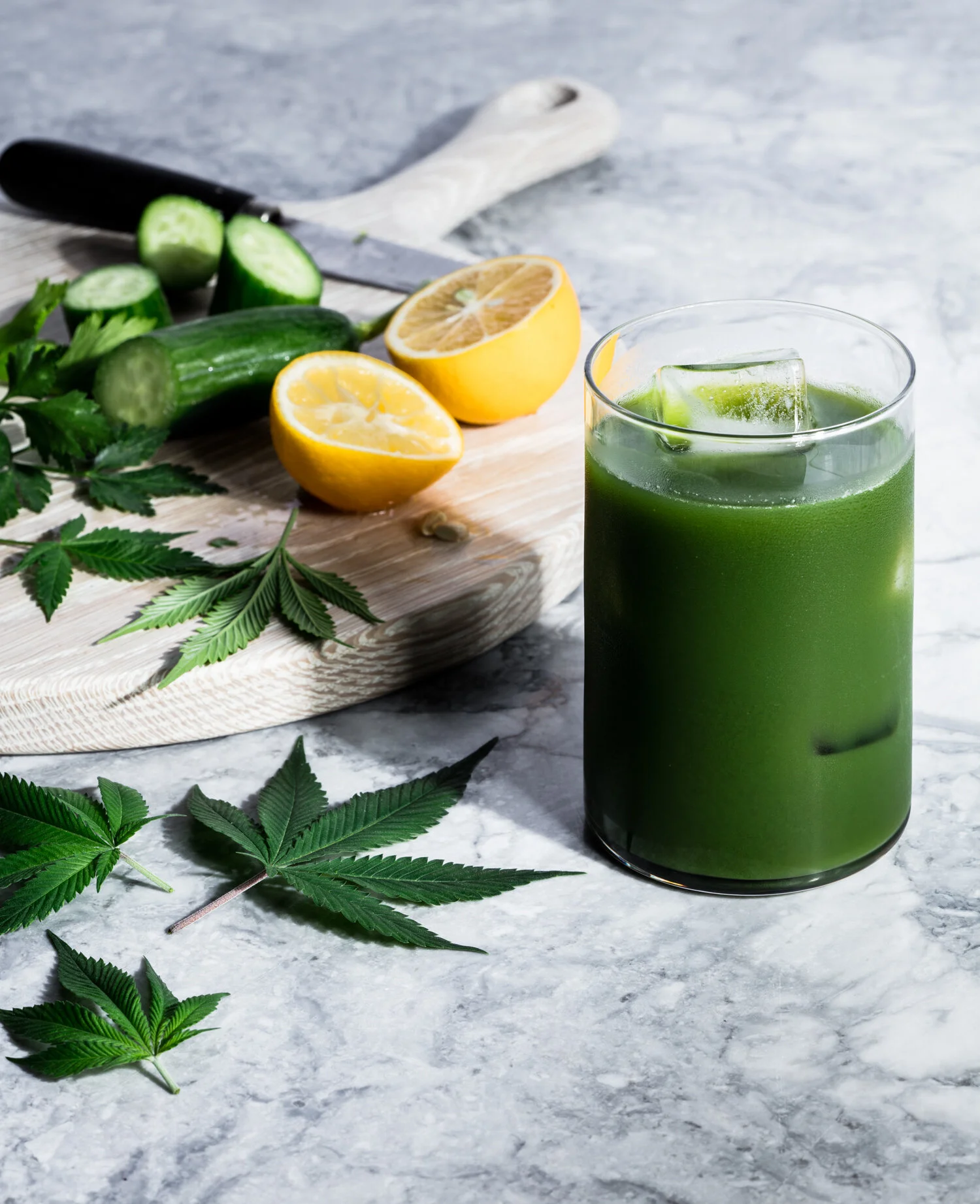 erin-scott-san-francisco-california-cannabis-photographer-ten-speed-press-editorial-9134.jpg