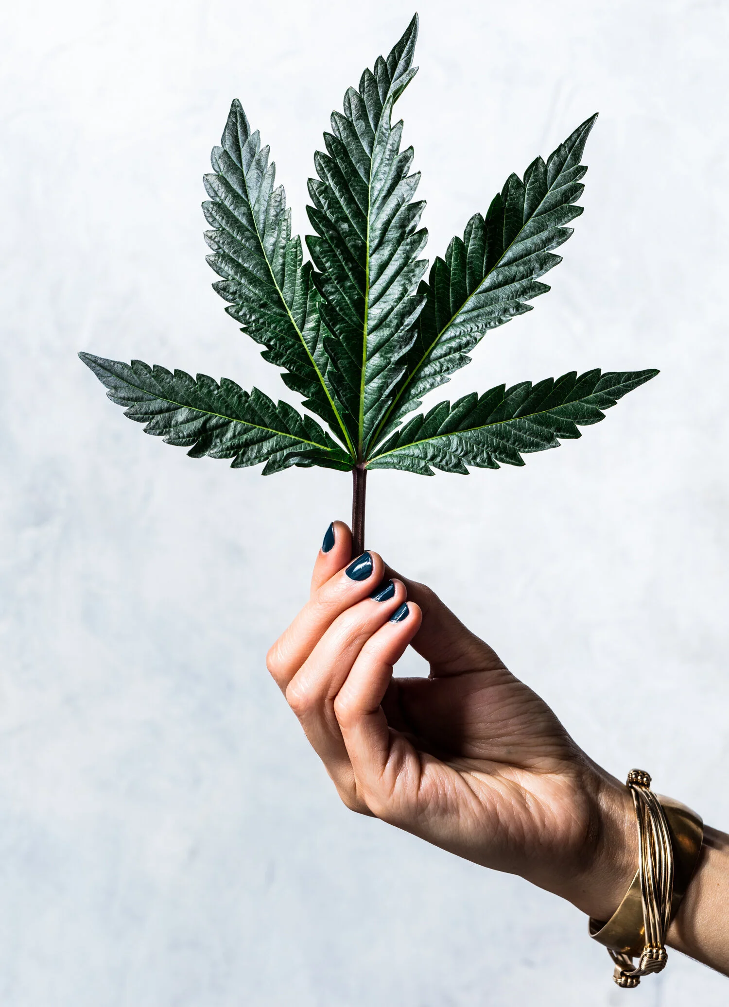 erin-scott-san-francisco-california-cannabis-photographer-ten-speed-press-editorial-9026.jpg
