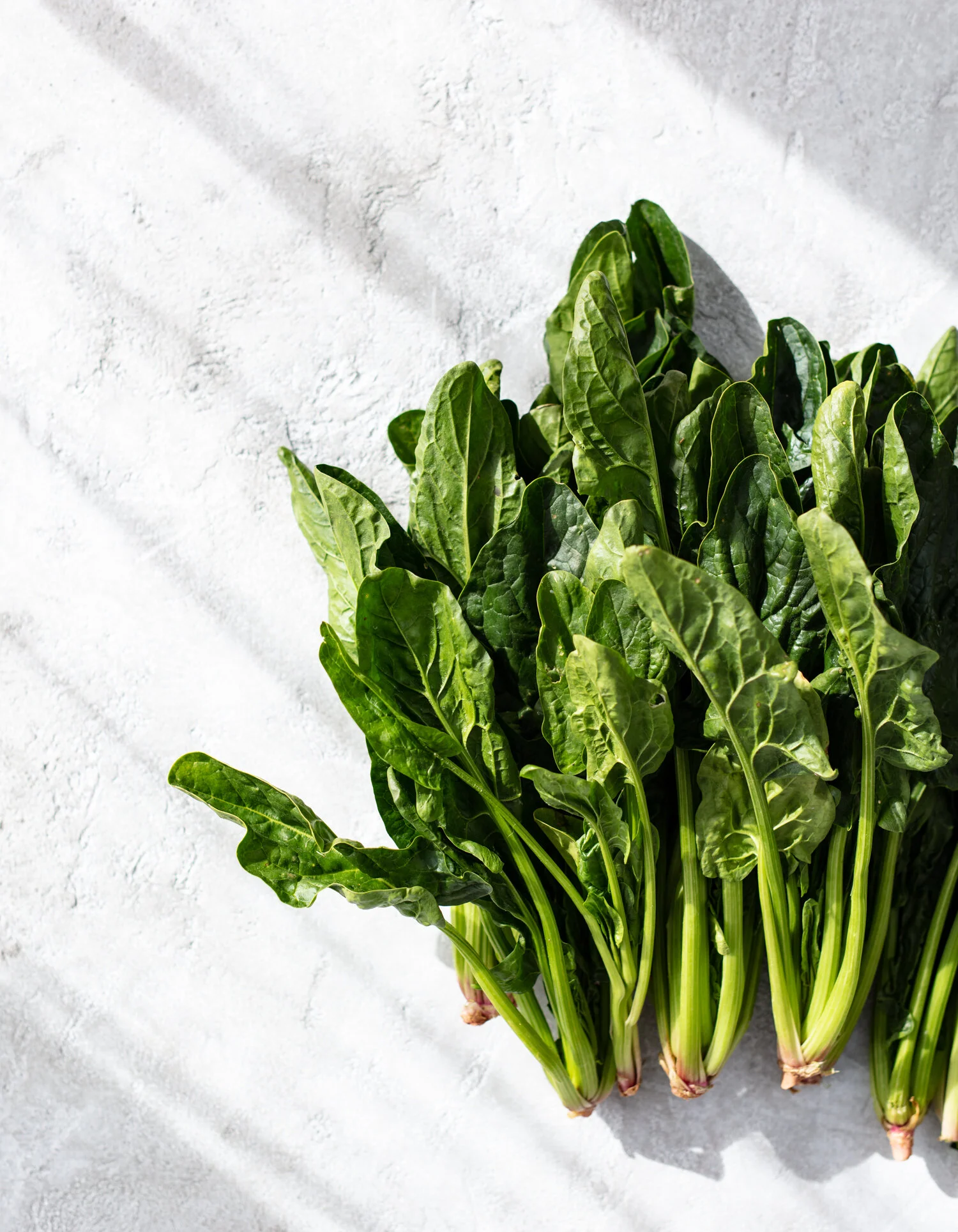 erin-scott-san-francisco-california-food-photographer-bryant-terry_williams-sonoma-catalog-spinach-0166.jpg