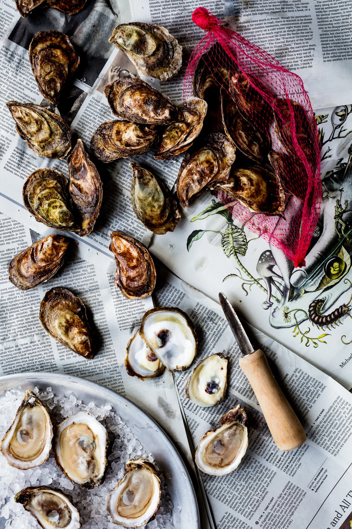 erin-scott-san-francisco-california-natural-light-editorial-food-photographer-edible-communities-shucked-oysters-7574.jpg