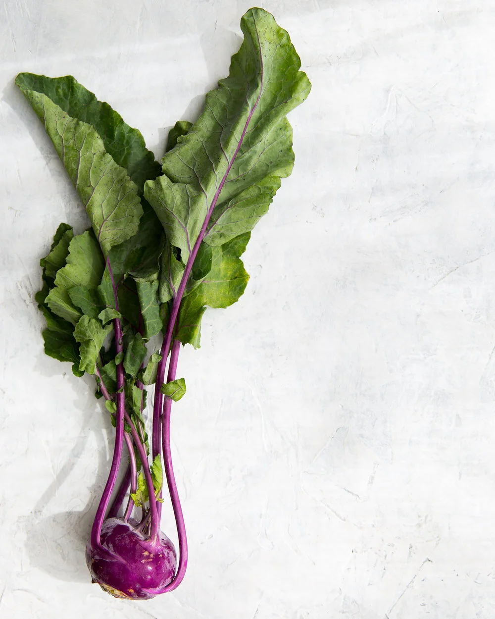 erinscottphotography_San-Francisco-Food-Photographer-BerkeleyBowl_Cookbook-Natural-Light-kholrabi.jpg