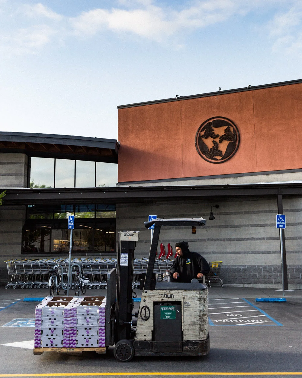 erinscottphotography_San-Francisco-Food-Photographer-BerkeleyBowl_Cookbook-Natural-Light-produce-store.jpg