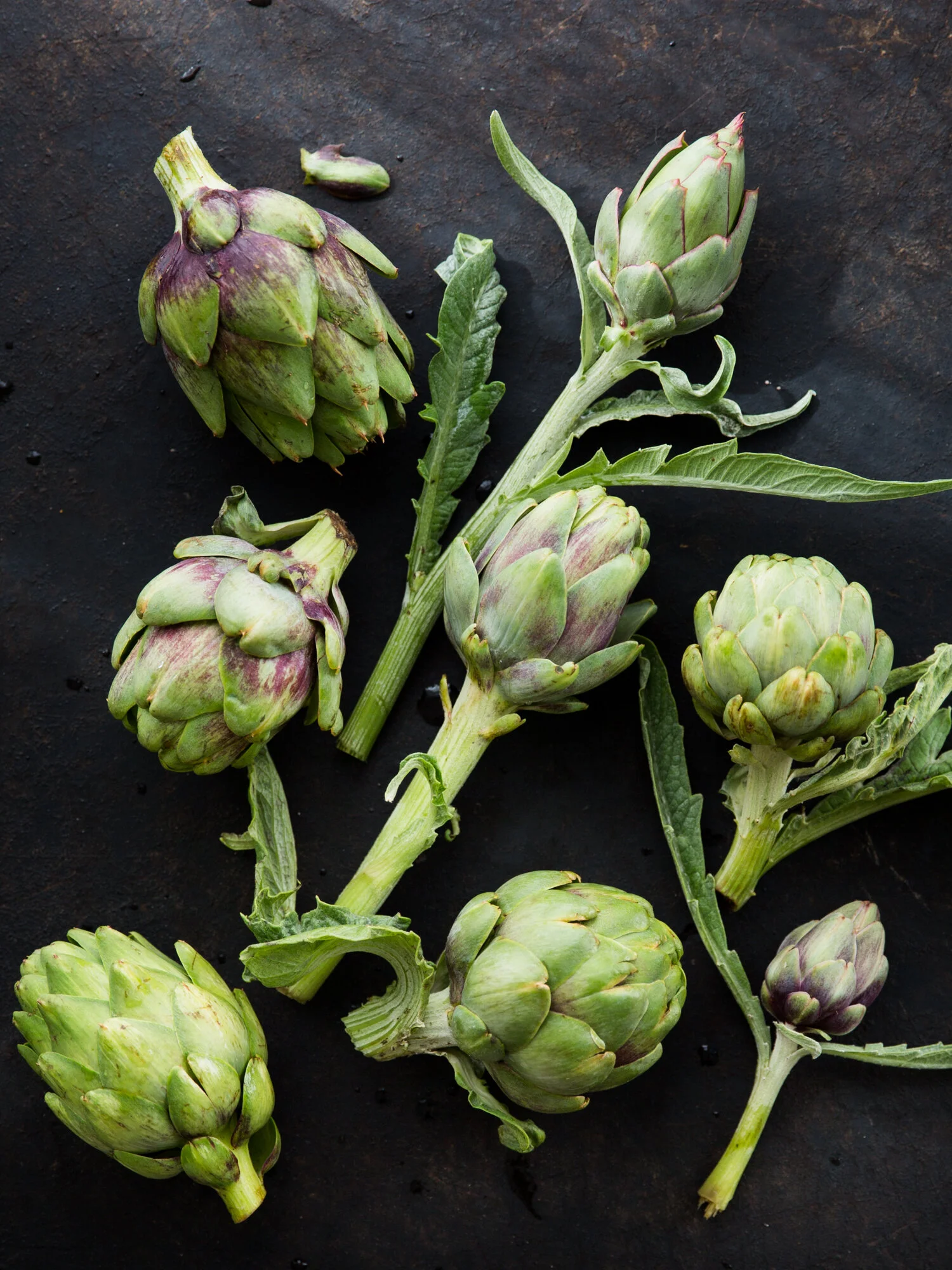erinscottphotography-san-francisco-food-photographer-cookbook-natural-light-deborah-madison-artichokes.jpg