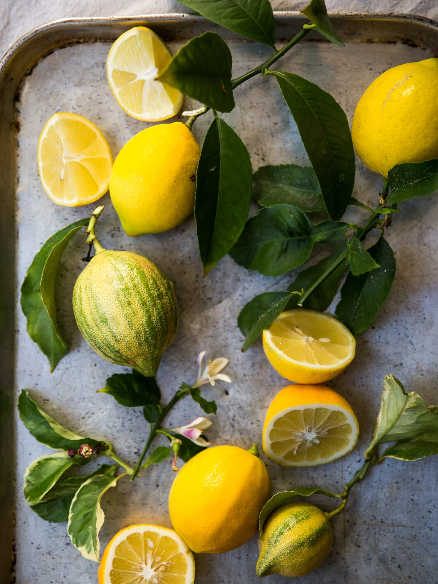 erinscottphotography-san-francisco-food-photographer-cookbook-natural-light-deborah-madison-lemons.jpg