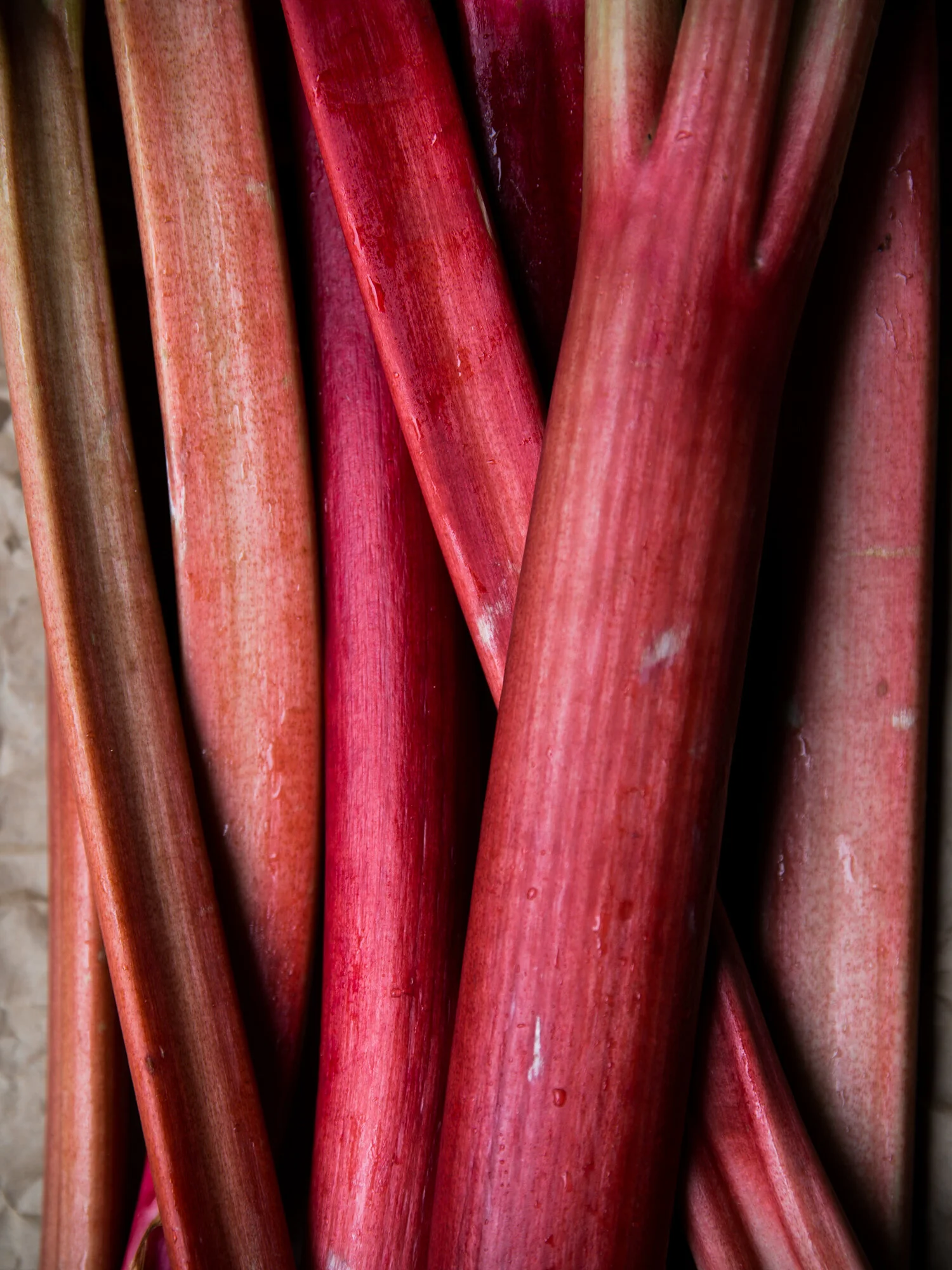 erinscottphotography-san-francisco-food-photographer-cookbook-natural-light-deborah-madison-rhubarb-5.jpg