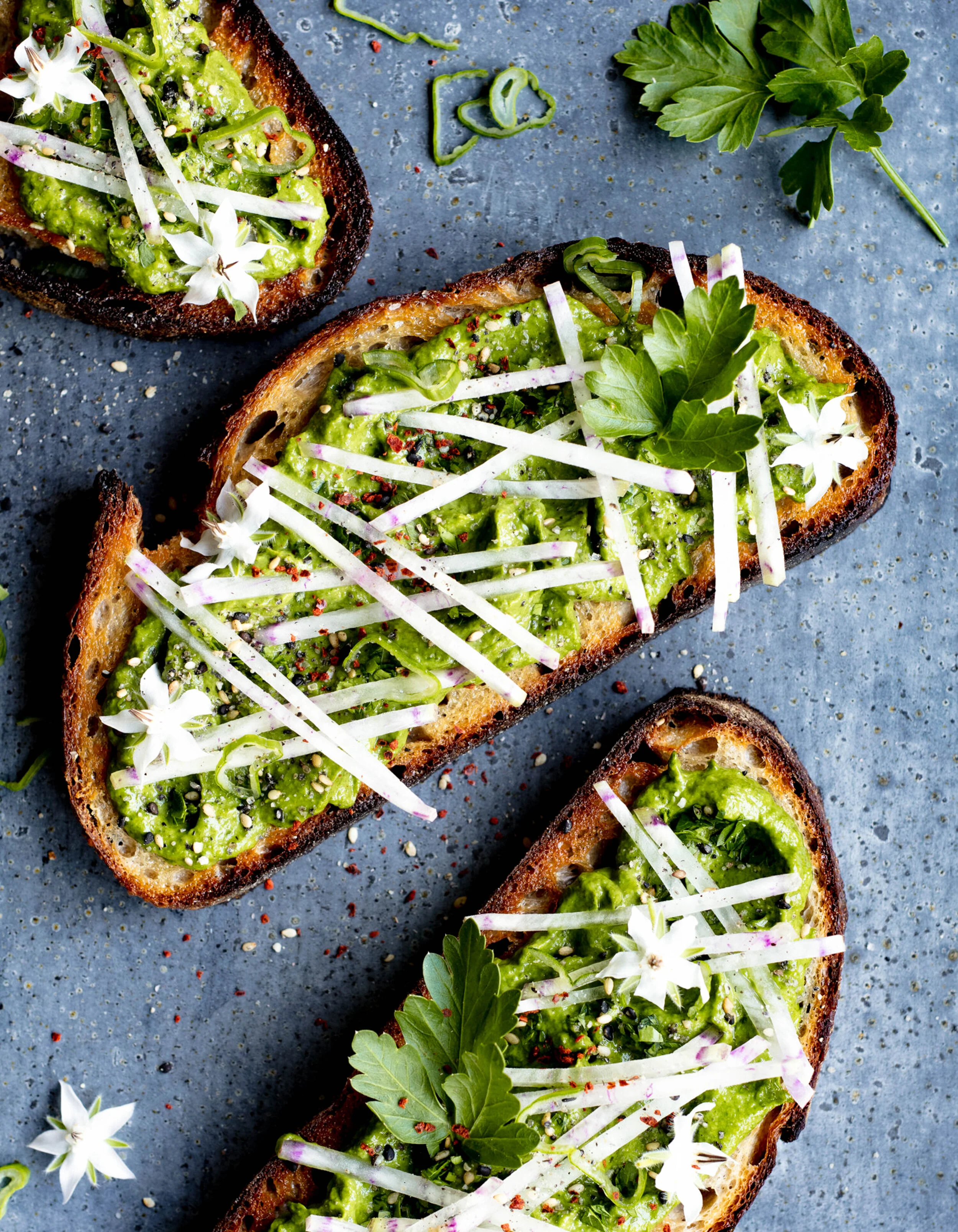 erin-scott-san-francisco-california-food-photographer-bryant-terry_williams-sonoma-catalog-avocado-toast-0229-2.jpg