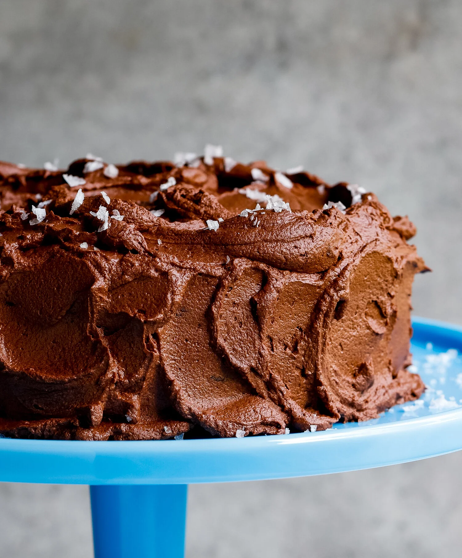 erinscott-california-food-photographer-editorial-cookbook-healthy-chocolatecake-6946.jpg