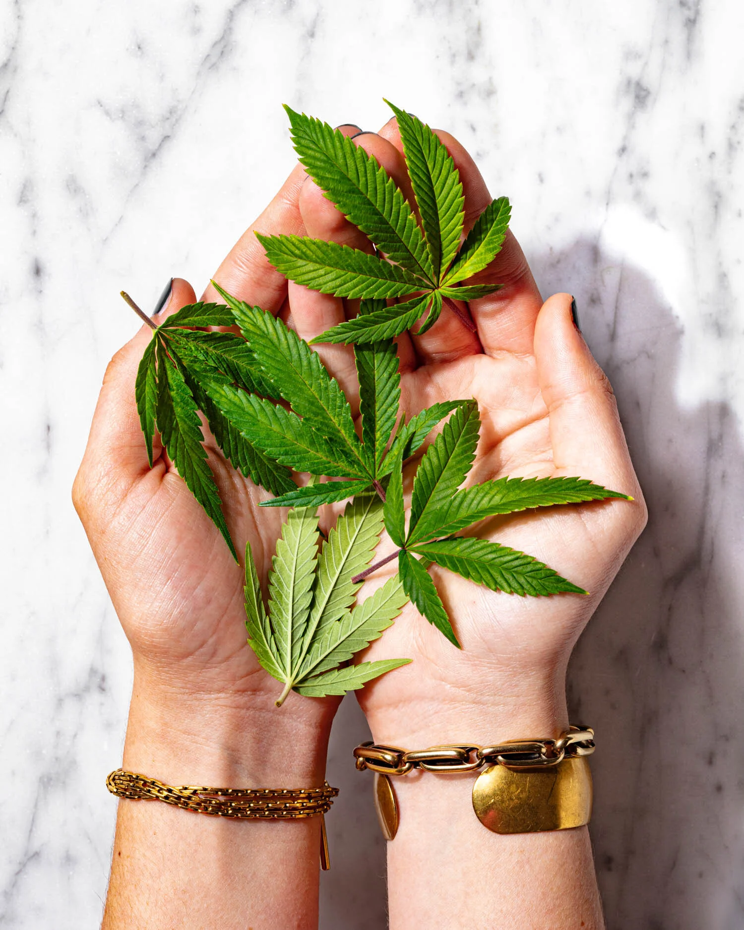 ErinScott-California-Cannabis-Wellness-photographer-8352.jpg