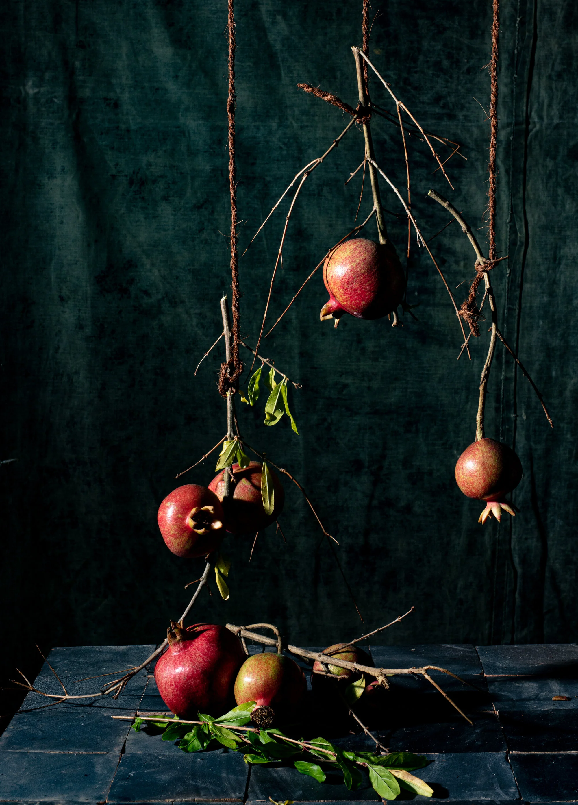 erinscott_california-food-photographer-dark-moody-pomegranate-stillife-7938.jpg