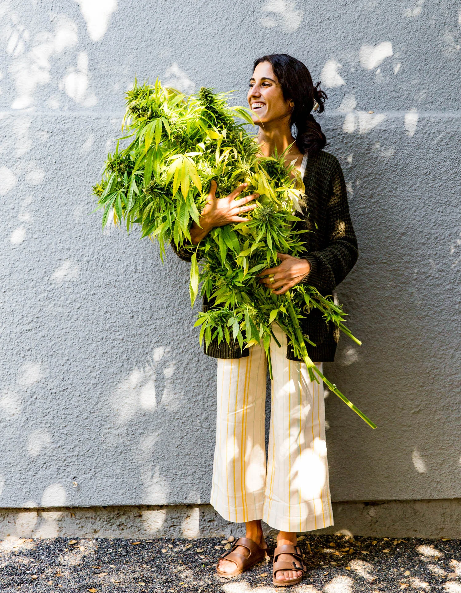 erinscott-bayarea-california-cannabis-photographer-cannabis-gardening-editorial-earthy-natural-5420.jpg