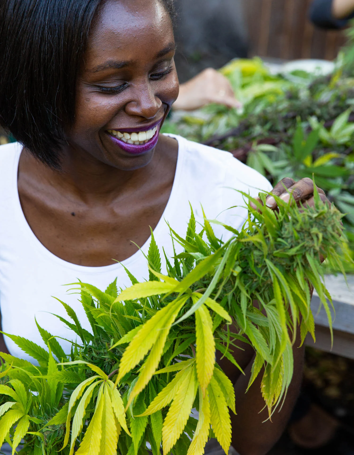 erinscott-bayarea-california-cannabis-photographer-cannabis-gardening-editorial-earthy-natural-5709.jpg