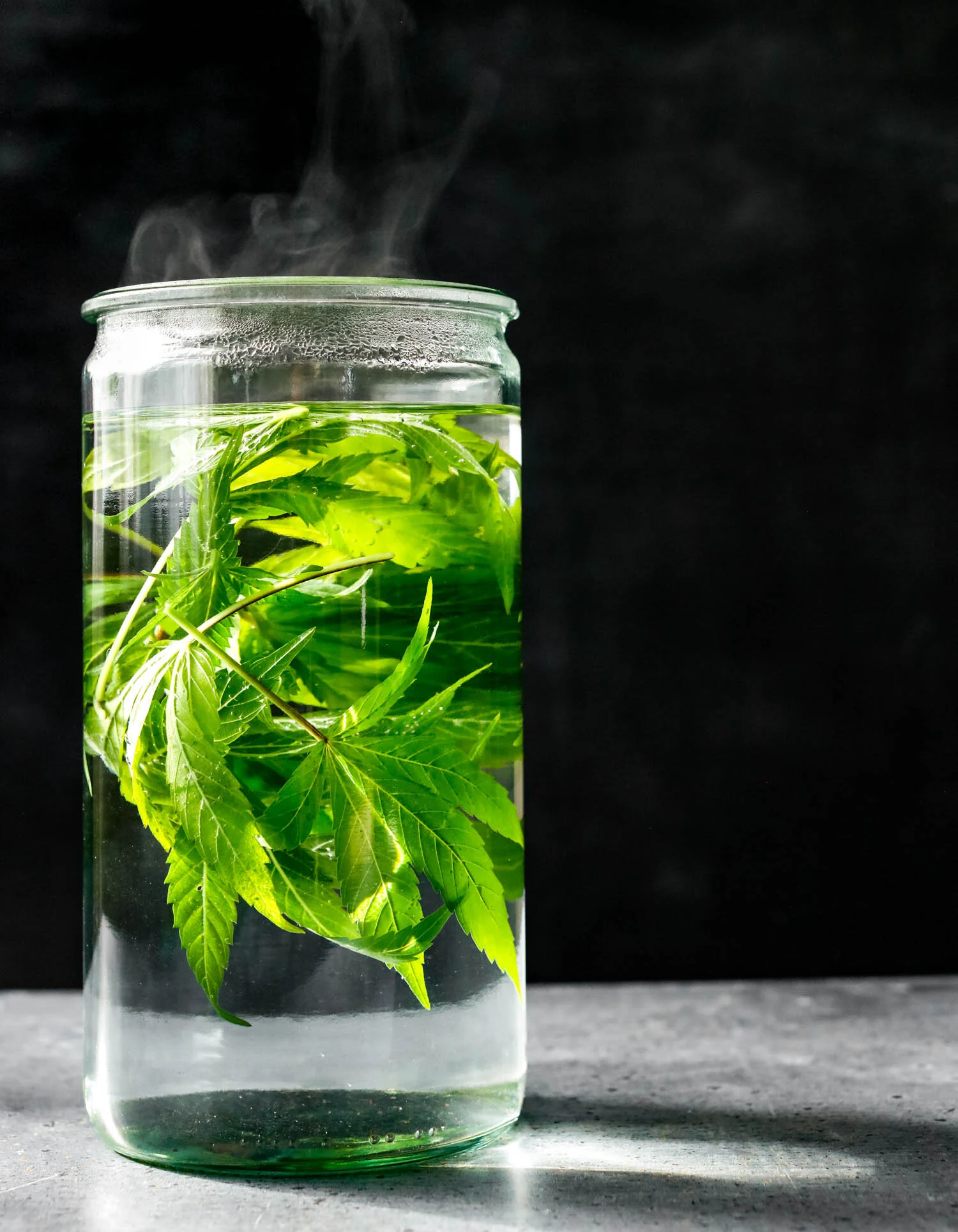 erinscott-bayarea-california-cannabis-photographer-cannabis-gardening-editorial-earthy-natural-5975.jpg