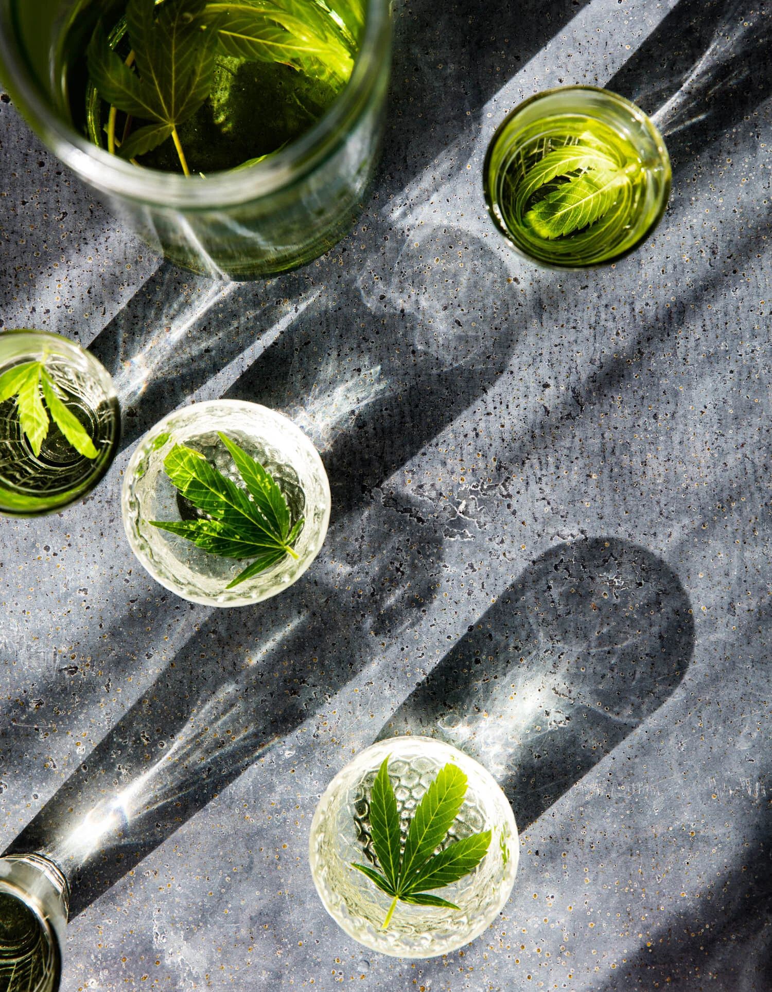 erinscott-bayarea-california-cannabis-photographer-cannabis-gardening-editorial-earthy-natural-5992.jpg