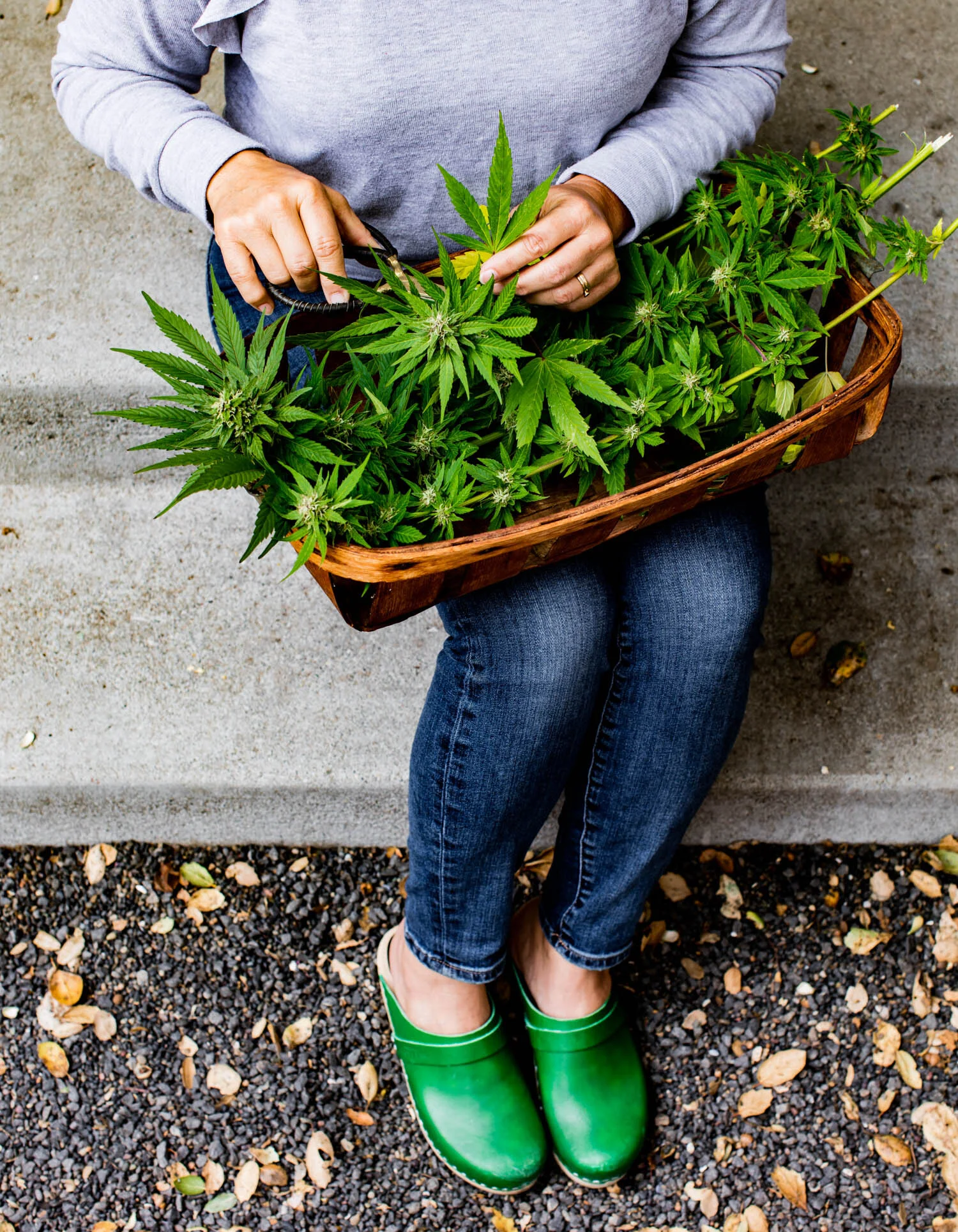 erinscott-bayarea-california-cannabis-photographer-cannabis-gardening-editorial-earthy-natural-6045.jpg