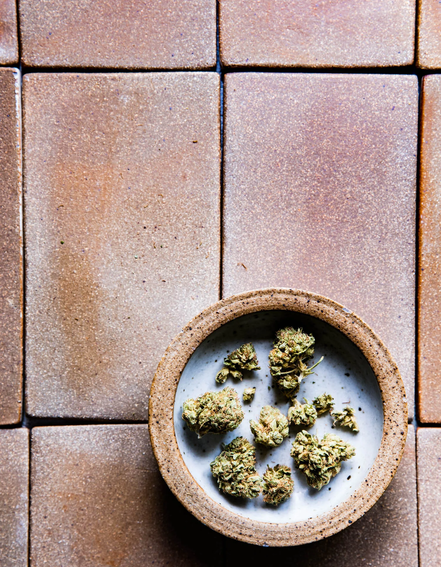 erinscott-bayarea-california-cannabis-photographer-cannabis-gardening-editorial-earthy-natural-6061.jpg
