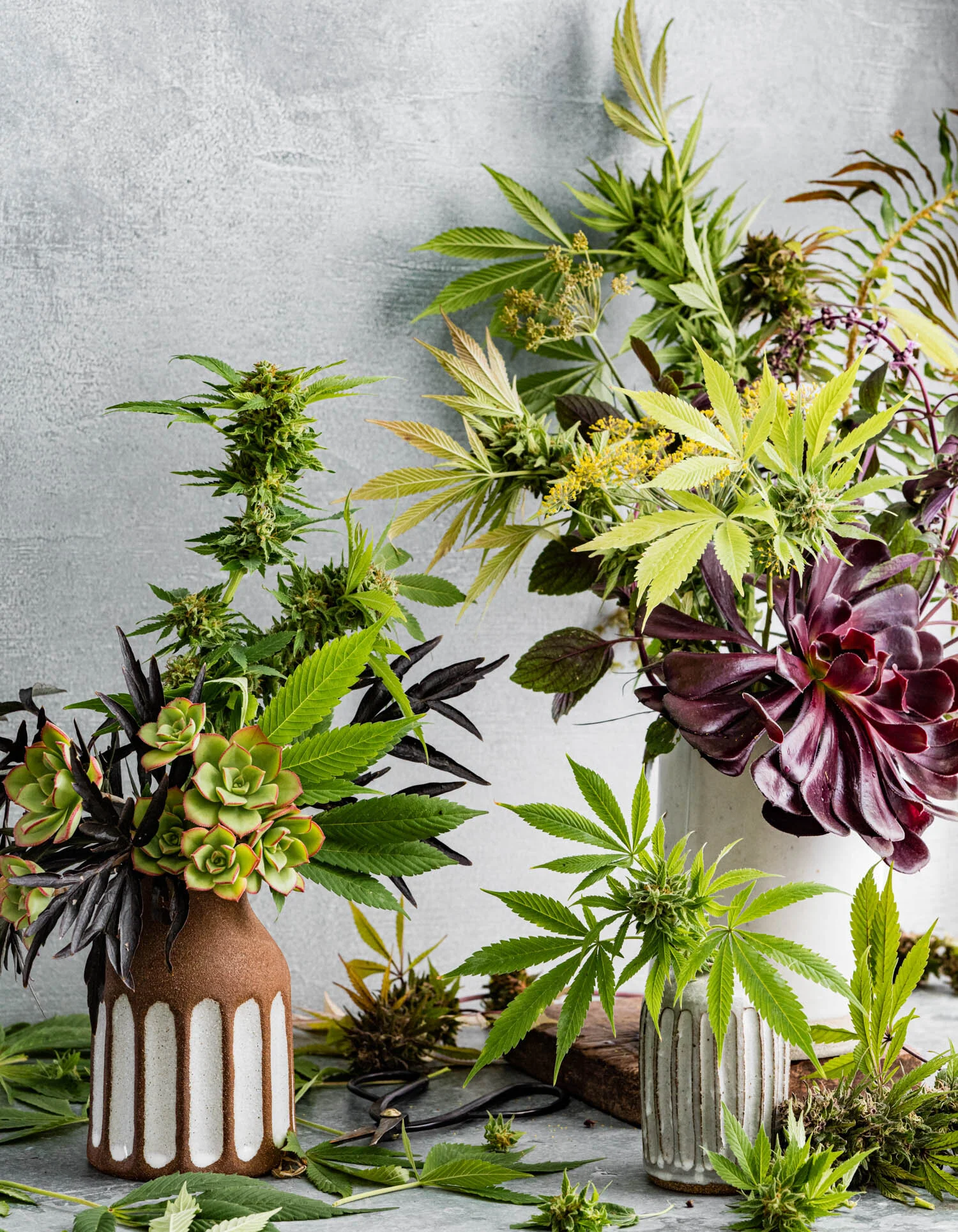 erinscott-bayarea-california-cannabis-photographer-cannabis-gardening-editorial-earthy-natural-6208.jpg