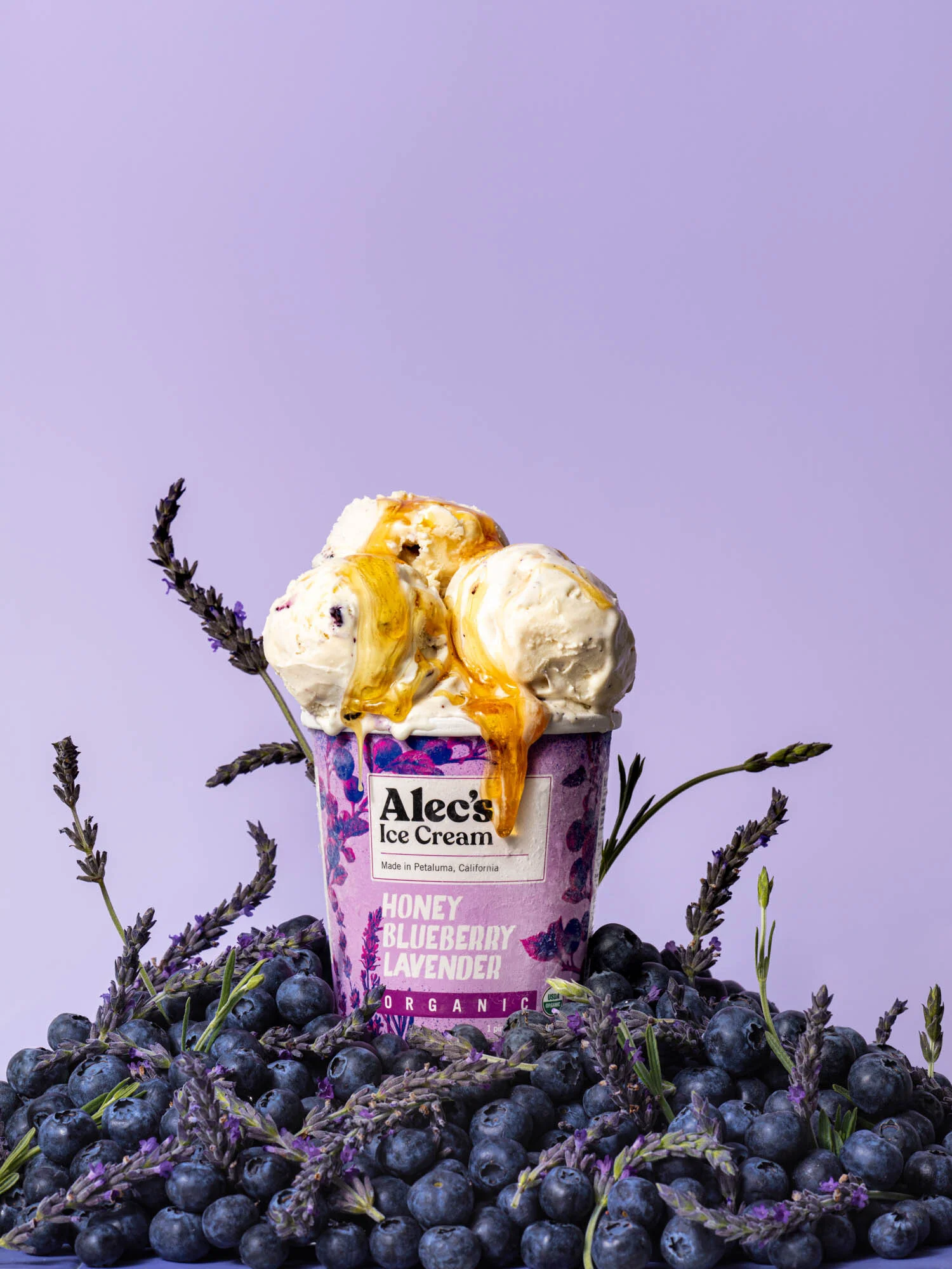 ErinScott-Bay-Area-Food-Photographer-Icecream-Modern-Colorful-quirky-AlecsIceCream-17.jpg