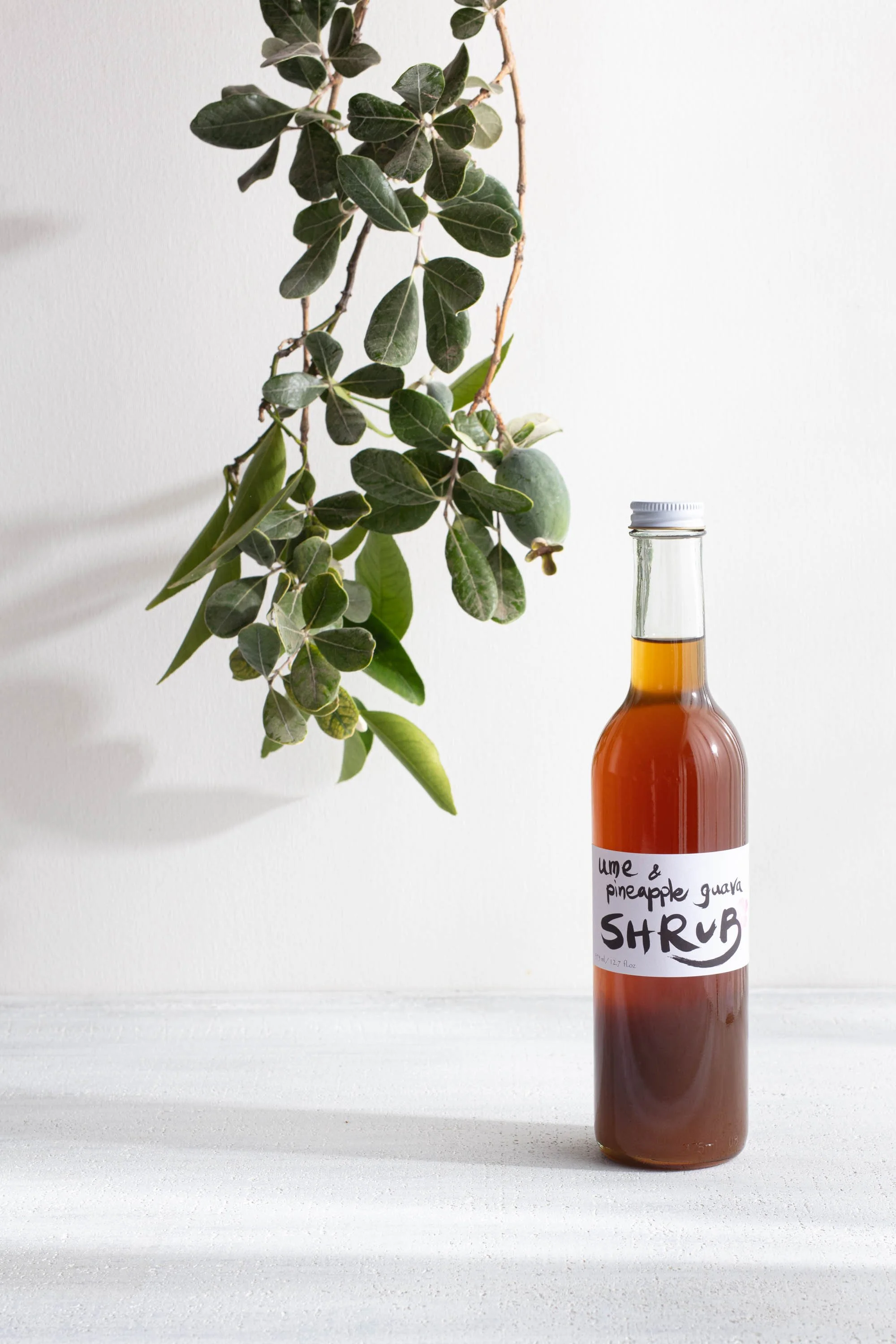 erinscott-sanfrancisco-food-photographer-lifestyle-natural-organic-pineappleguavashrub-yumeboshi-7447.jpg