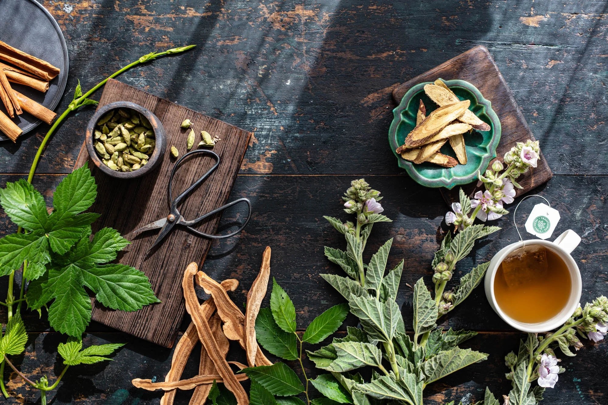 erinscott-SanFransicsco-naturalproduct-photography-organic-herbs-tea-TradtionalMedicinals-1933.jpg