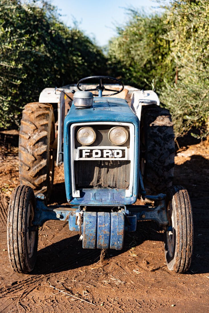 erinscott-california-lifestyle-photographer-organic-oliveoil-enzo-olivetrees-harvesting-tractor-1015.jpg