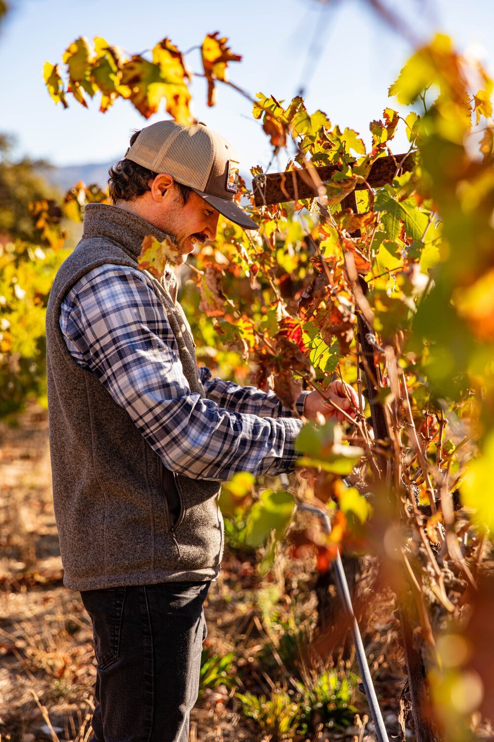 erinscott-california-wine-vineyard-photographer-lifestyle-sehgsio-9279-1.jpg