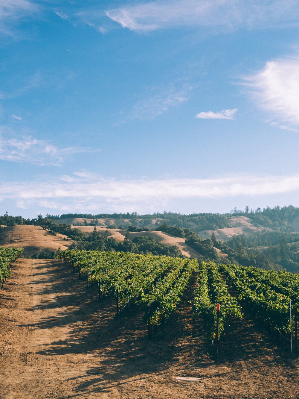 erinscottphotography_farmsandfarmers-37.jpg