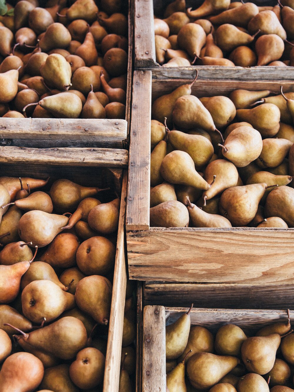 erinscottphotography_farmsandfarmers-1.jpg
