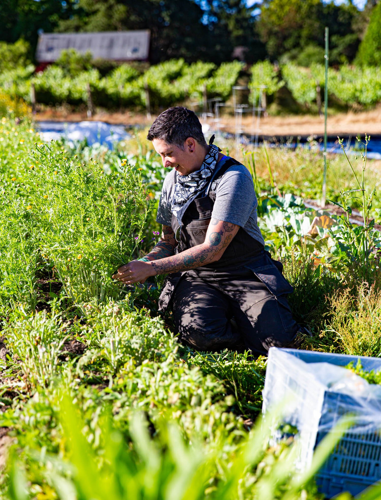 ErinScott-California-Editorial-Food-Farm-Photographer-SFChronicle-SummerMagazine-2020-7948.jpg