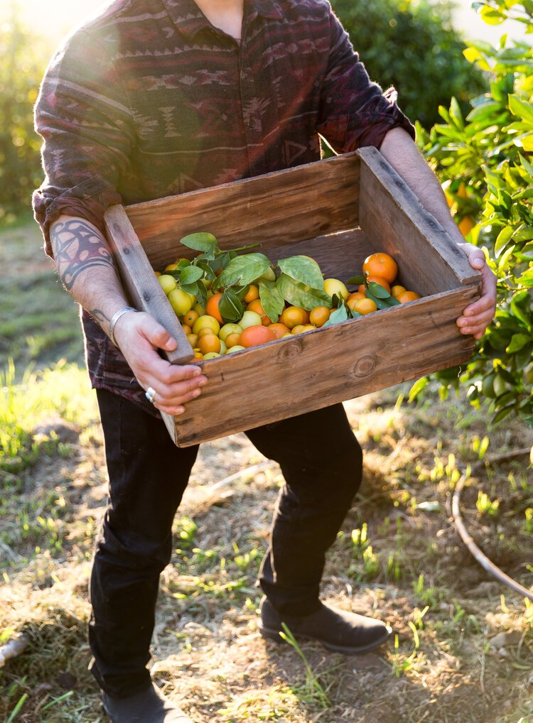 erinscott-sanfrancisco-foodphotographer-cookbook-photographer-chroniclebooks-jamsandpreserves-californialifestyle-8642.jpg