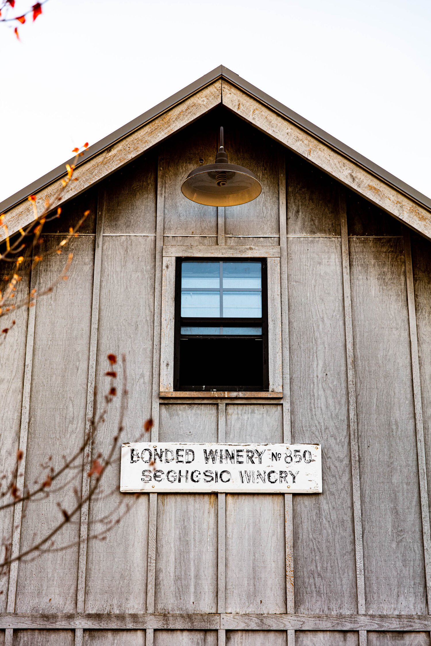 erinscott-california-wine-vineyard-photographer-lifestyle-sehgsio-9103.jpg