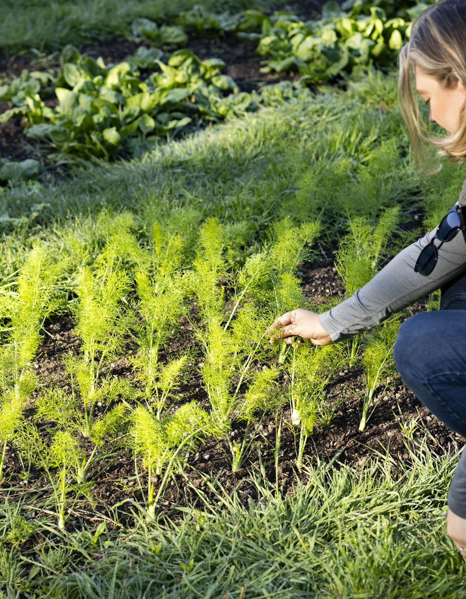 ErinScott-SFfoodphotographer-greenscookbook-organic-california-natural-7.jpg