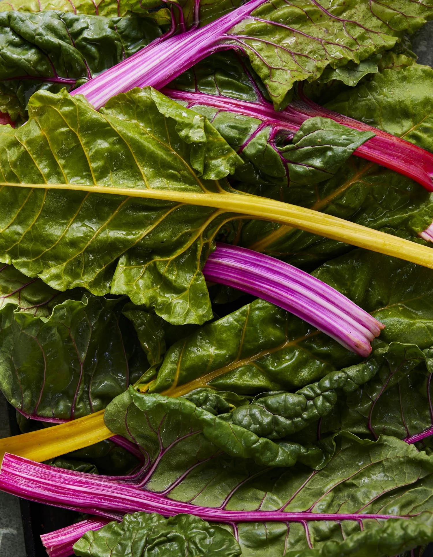 ErinScott-SFfoodphotographer-greenscookbook-organic-california-natural-9.jpg