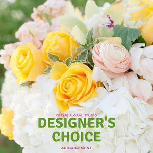 Designer's Choice