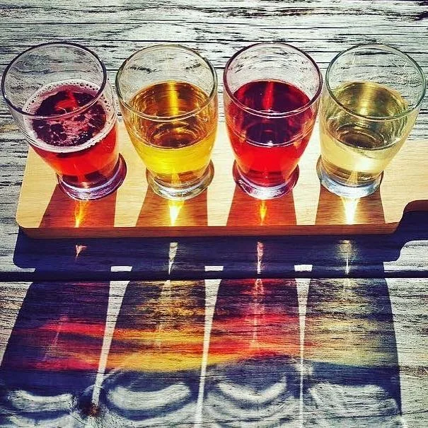 Mead Tasting Paddle