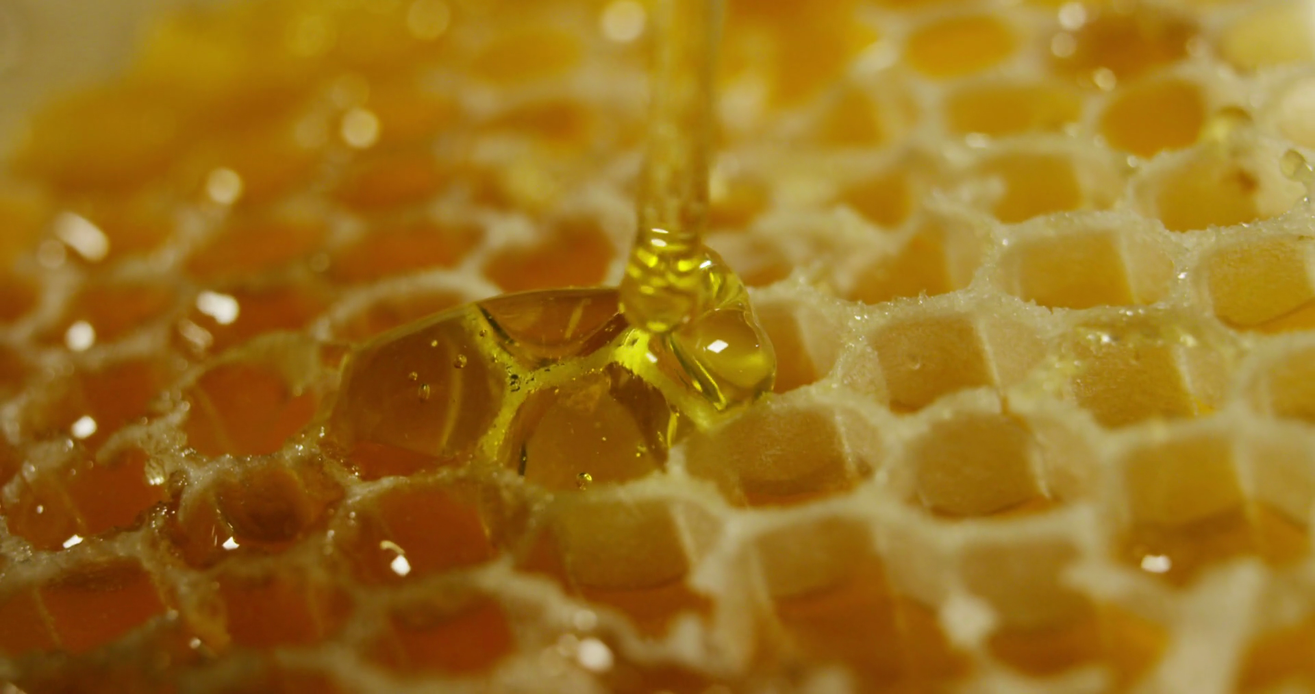 slow-motion-of-biological-and-genuine-honey-drips-inside-a-jar-honeycomb-dripping-honey-black-background-and-a-wooden-table-macro-close-up_rvexq2dnfx_thumbnail-full03.png