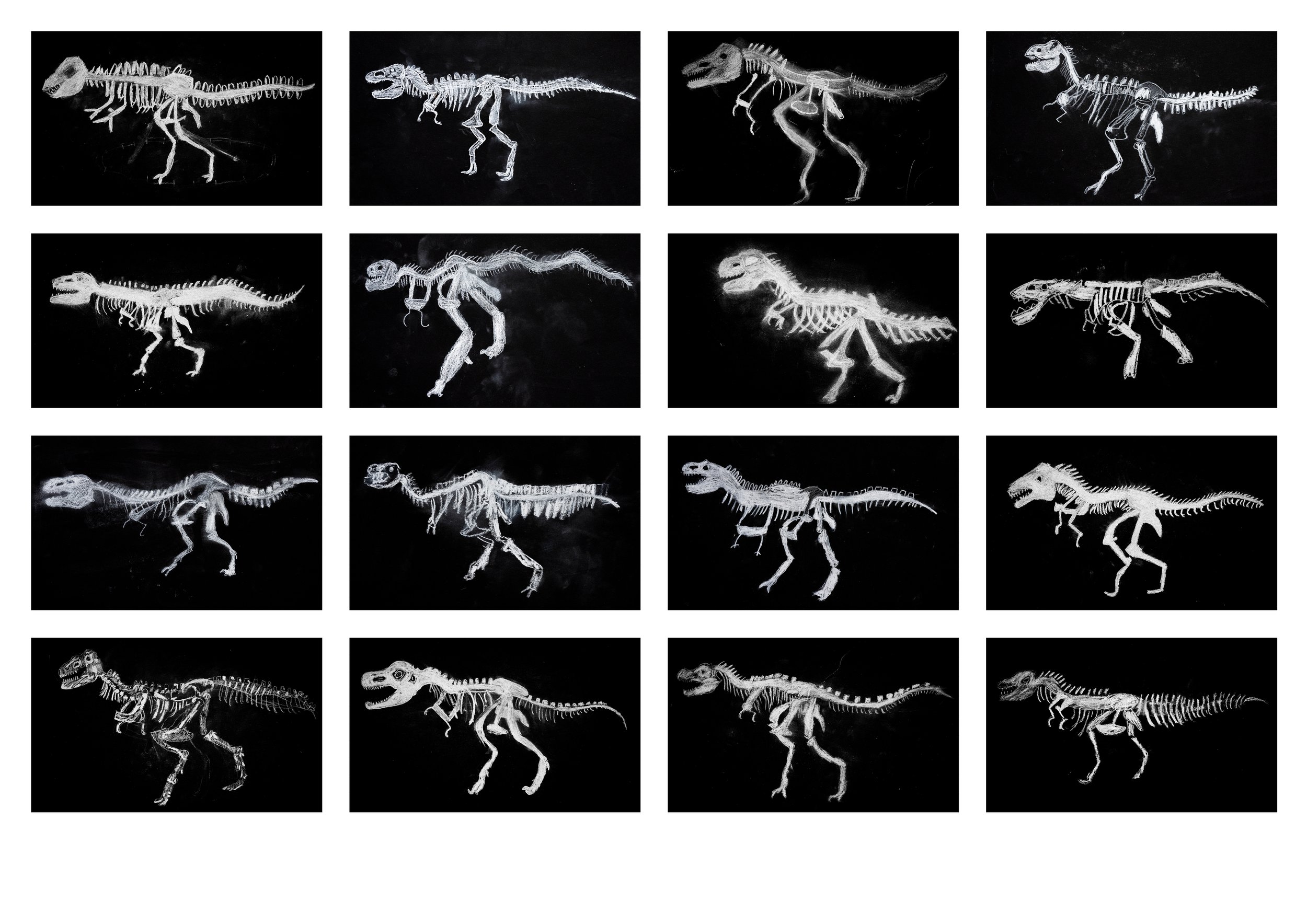 ANATOMIE VAN DE T-REX