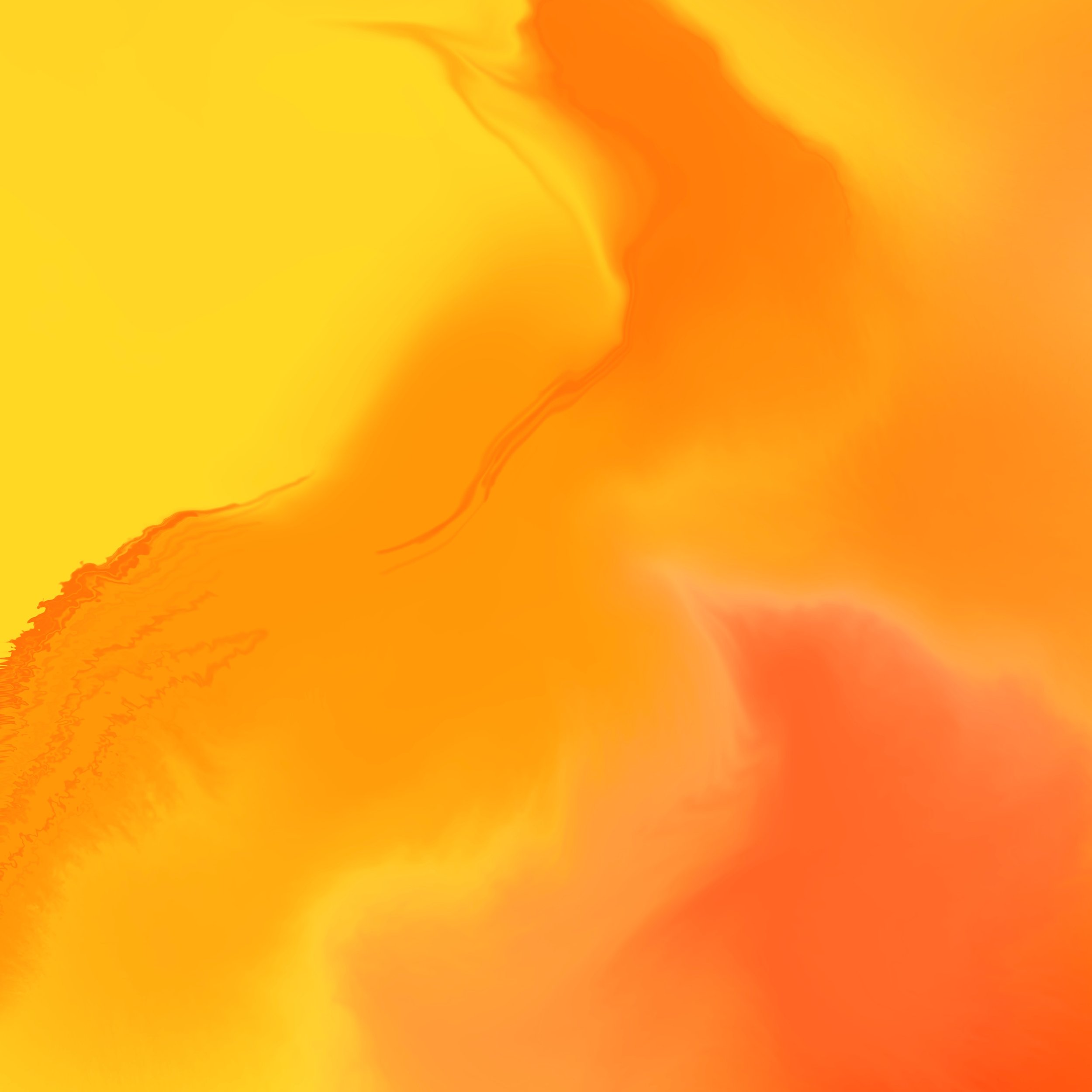 yellow organge.jpg