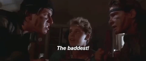 Monster killing role models: the Frog Brothers, circa 1987