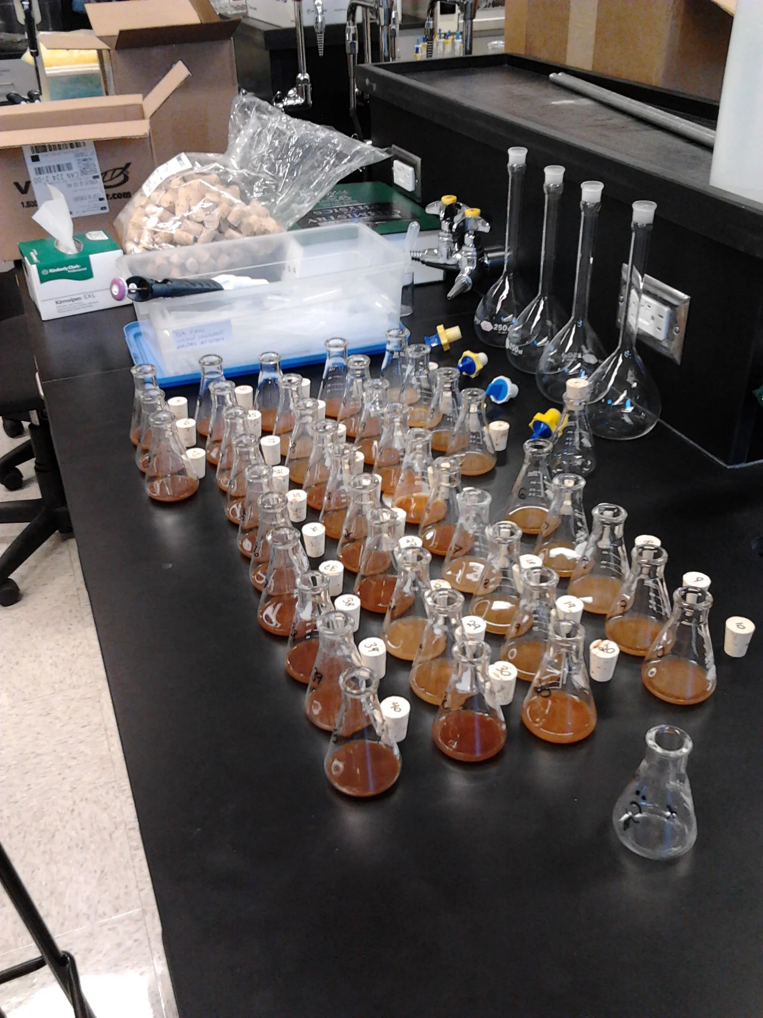 Le SEREX : un trésor de sciure et de copeaux