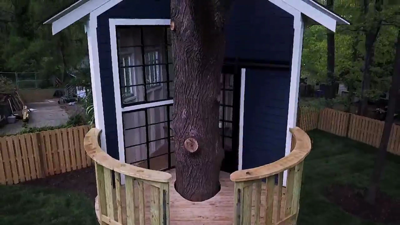 Bird House Treehouse.jpg
