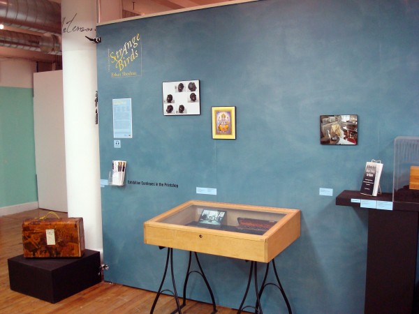 Shoshan_SB-wall1-a-e1328116886647.jpg