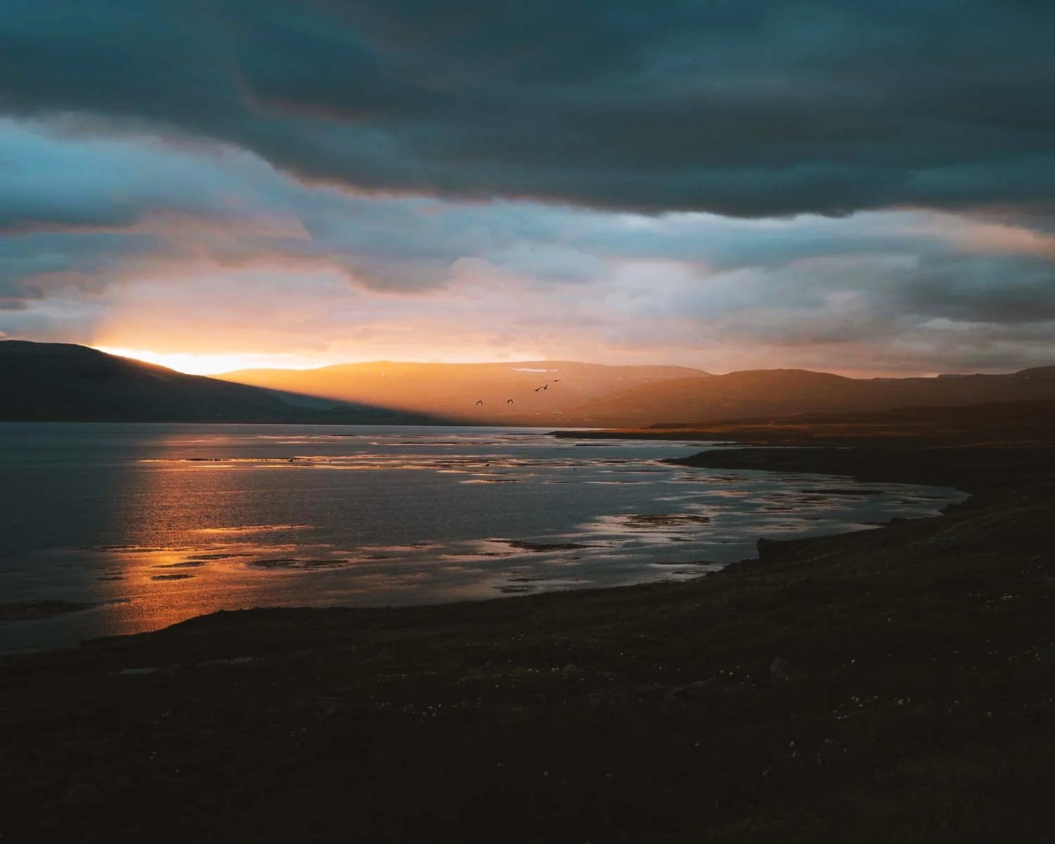 iceland-summer-sunset-birds-clouds-travel-roadtrip-icelandic-landscape.jpg