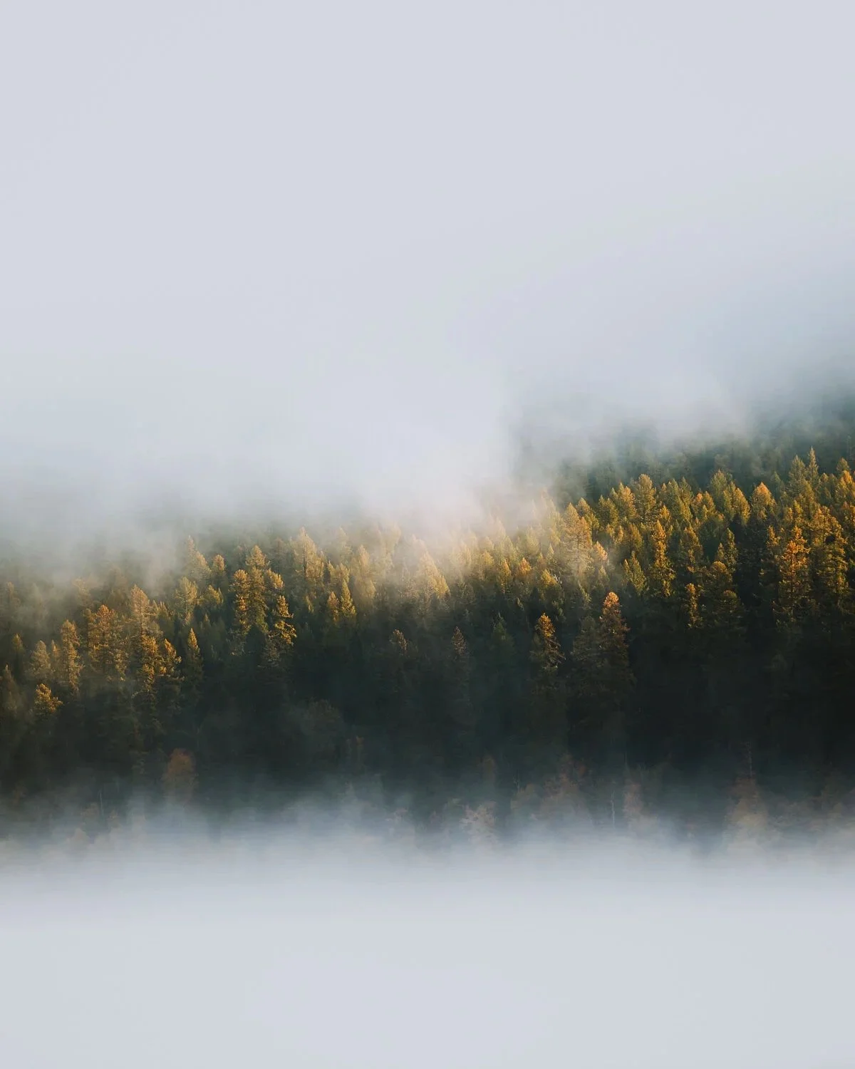 _02A2696-Edit.jpg