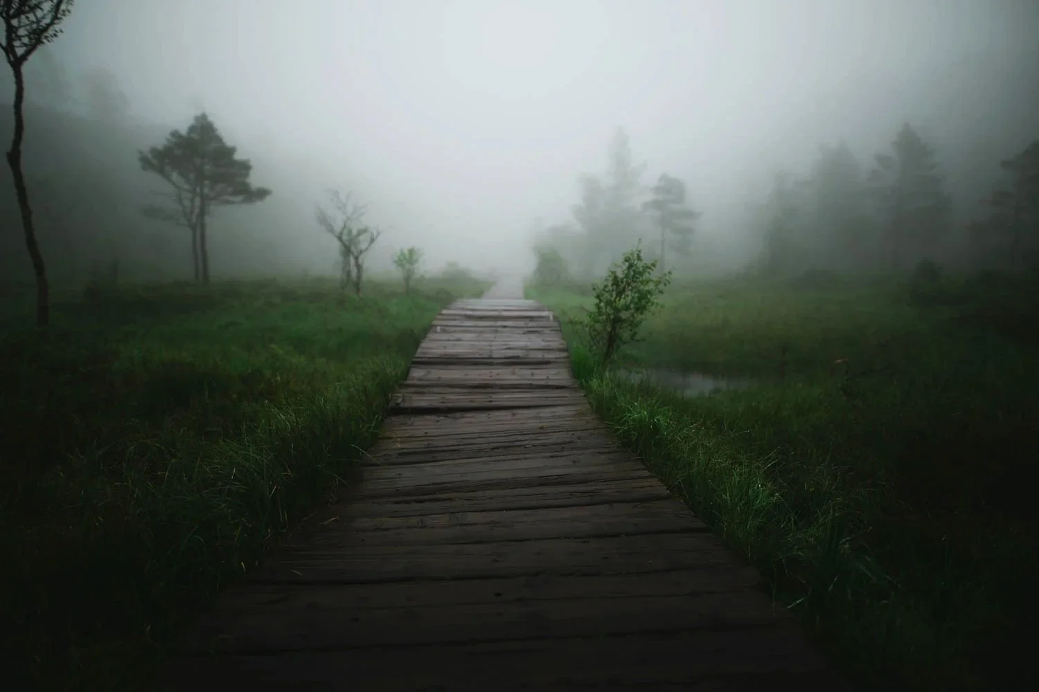bridge-misty-fog-walkway-path-norway-hike-hiking.jpg