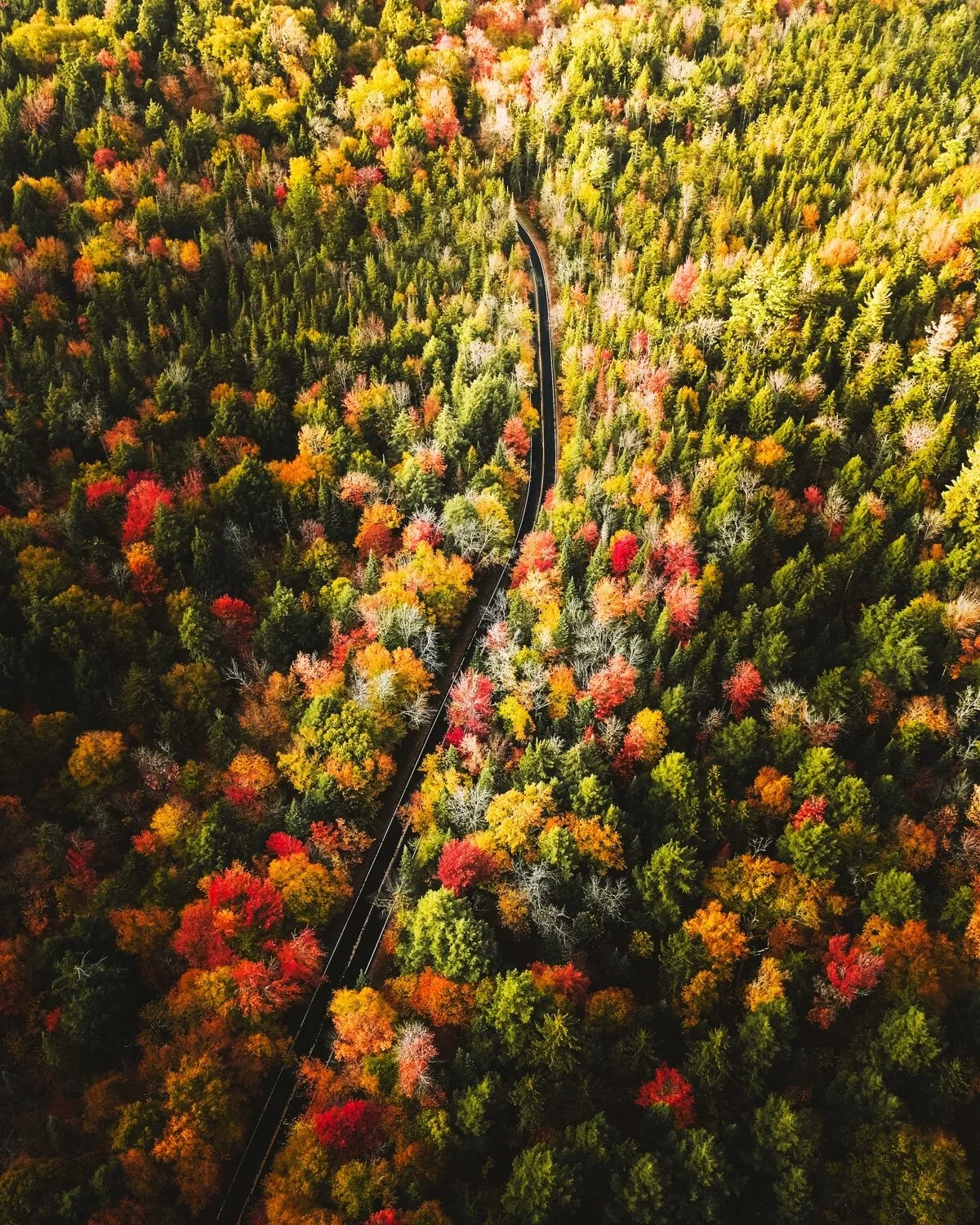 fall-drone-dji-autumn-colors-aerial-landscape-nature.jpg