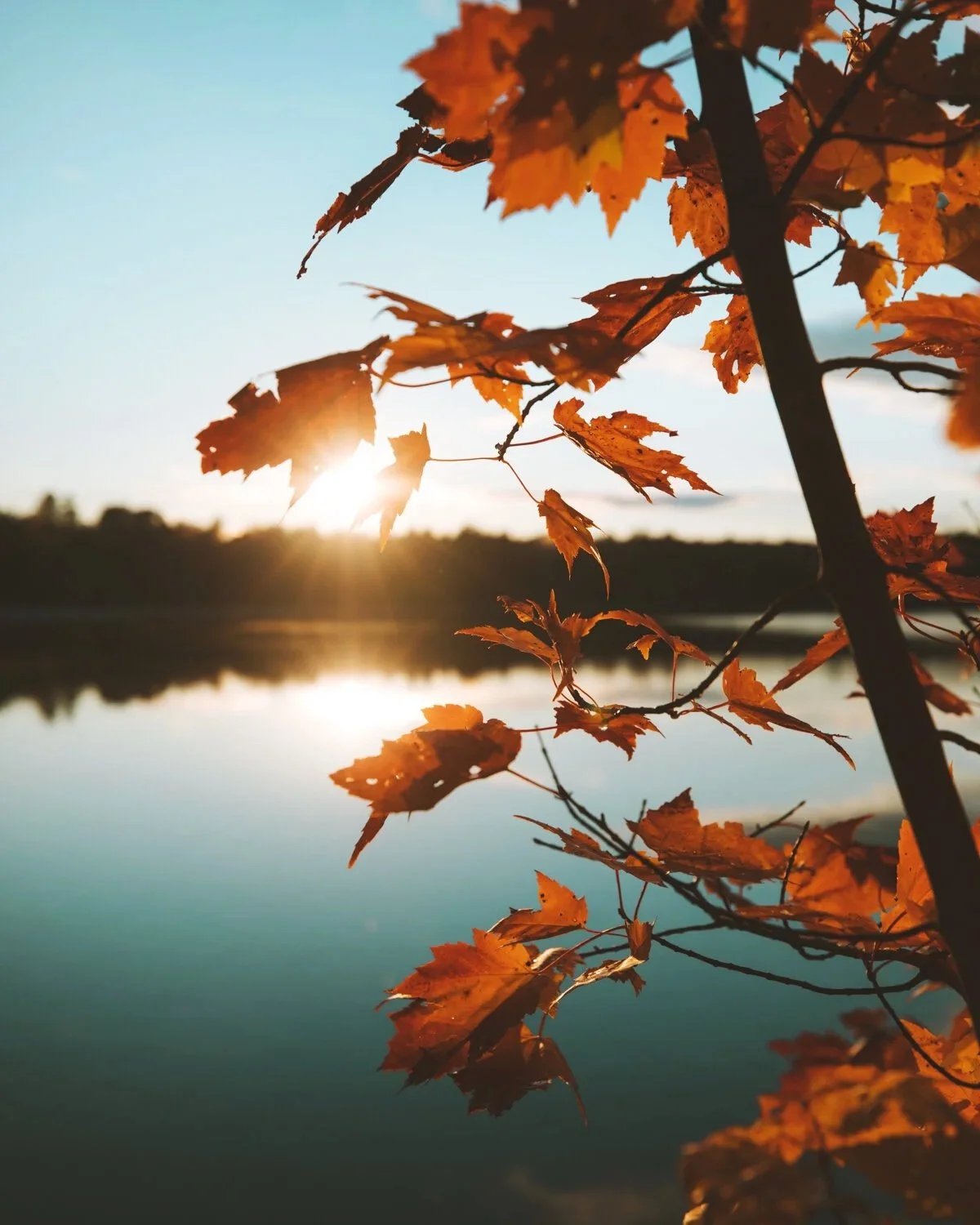 fall-leaves-autumn-changing-colors-new-england-northeast-vermont-new-hampshire.jpg